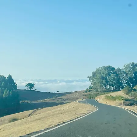 Era Del Centeno By Rivero *